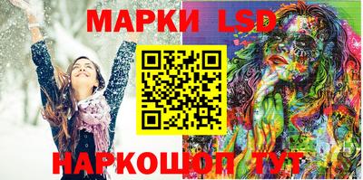 гидропоника Будённовск