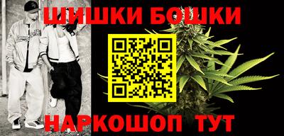 гидропоника Будённовск