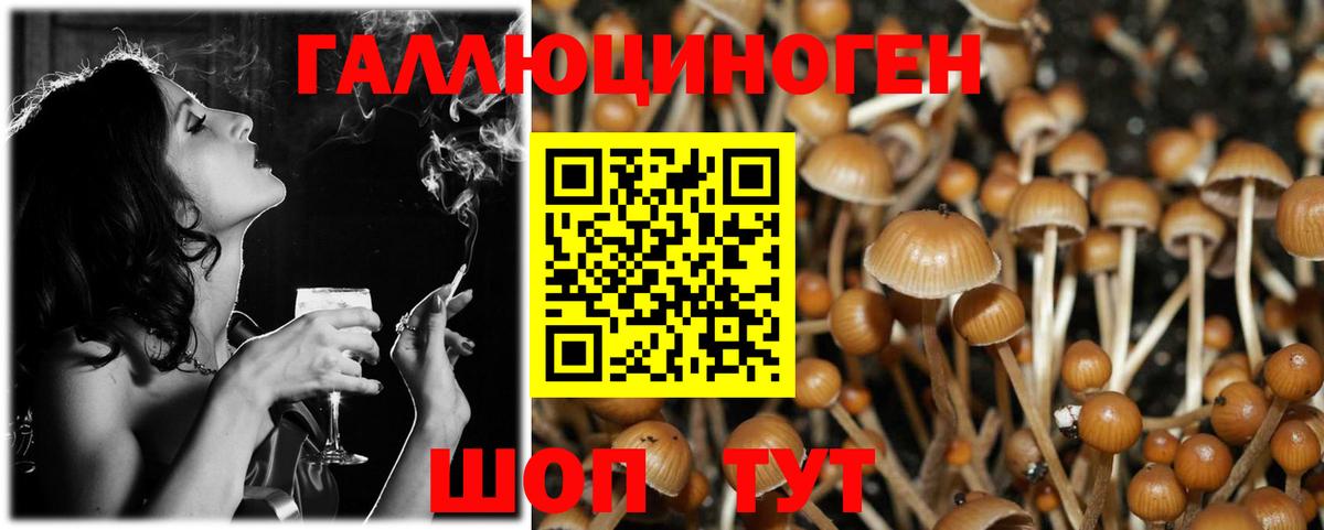 Мурманск  Псилоцибиновые грибы Magic Shrooms  Вход с VPN  Галлюциногенные грибы GOLDEN TEACHER 