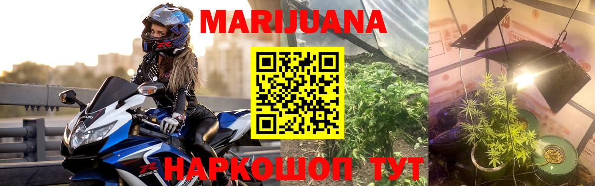 Шишки марихуана White Widow  Марихуана сатива  Бошки марихуана индика  Мурманск  Вход с VPN 
